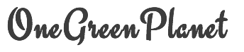 One Green Planet, December